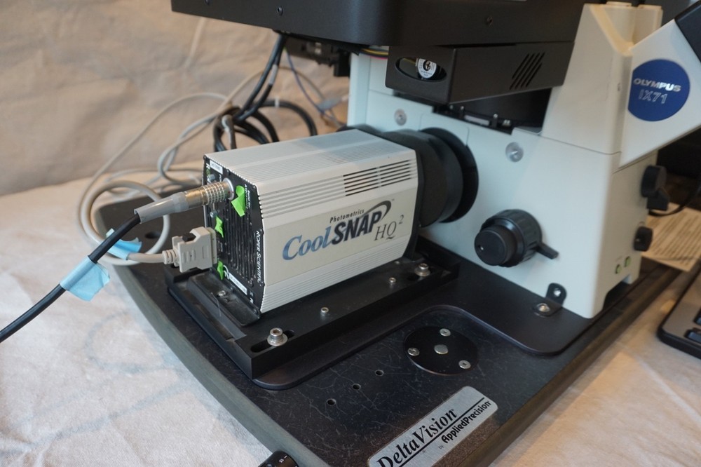 DeltaVision Elite Deconvolution Cell Imaging Microscope Olympus IX71