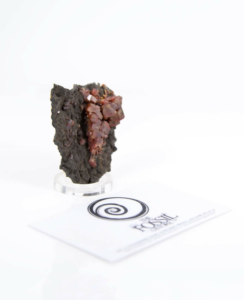 Vanadinite Mineral; Natural Crystal Cluster - 56mm