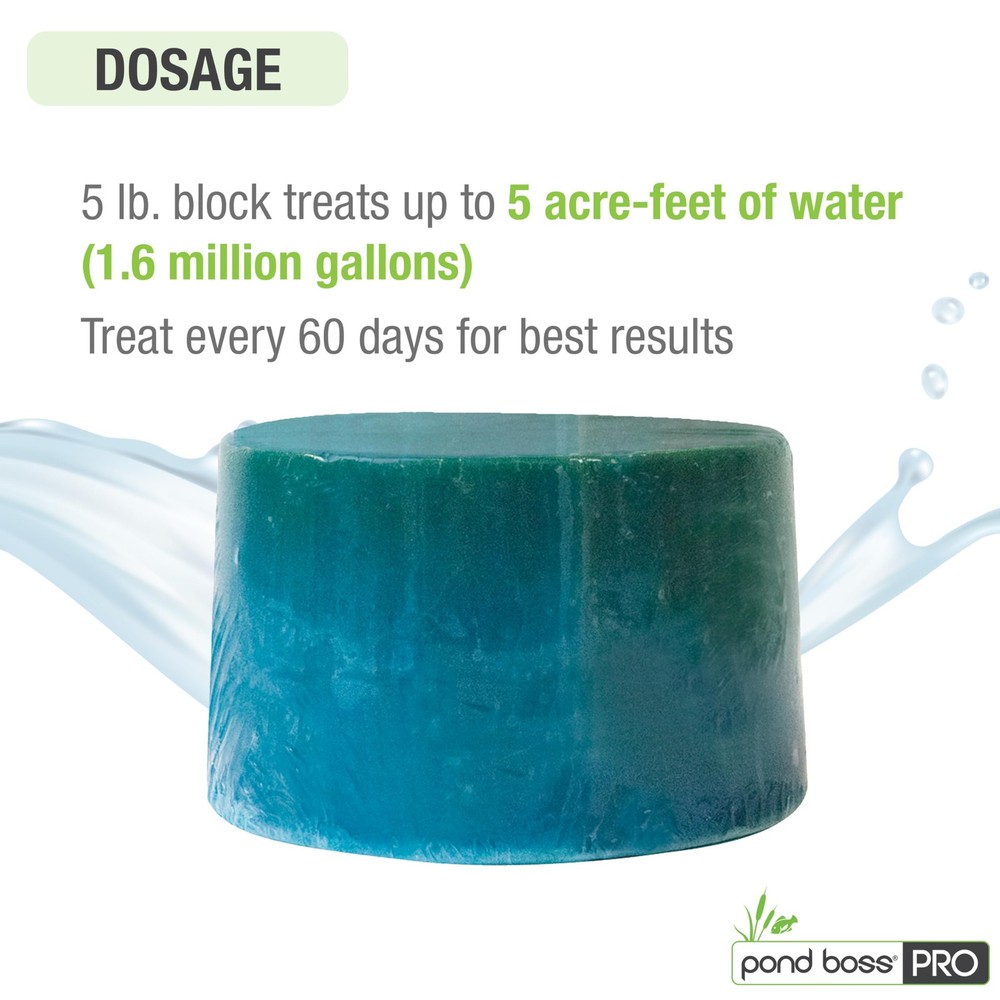 CBBPR5 Pro Block Bacteria, 5-Pound