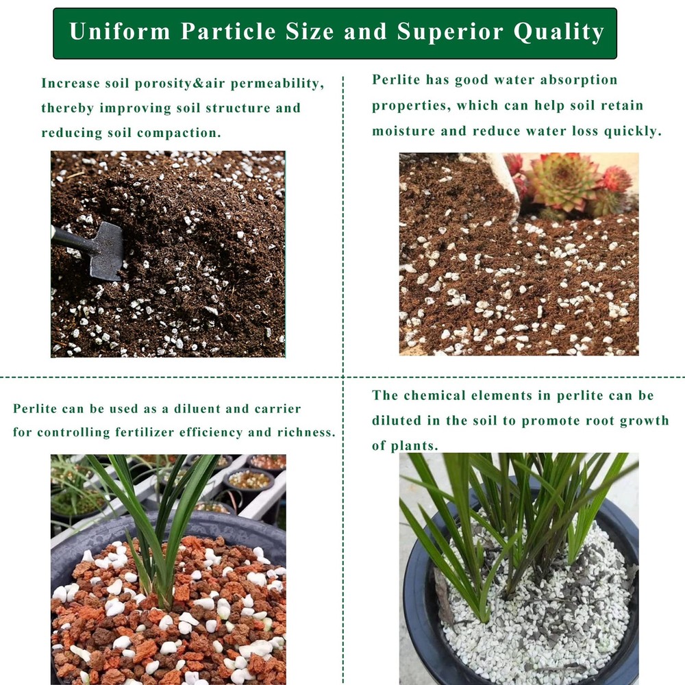 2 Quart Organic Perlite Horticultural Soil Amendment for Plants 2QT,