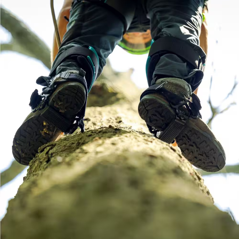 Steel Tree Gaffs Climbers