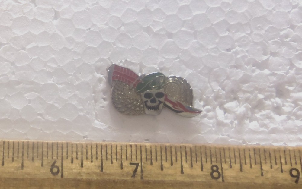 Special Forces Wings / Knife Pin