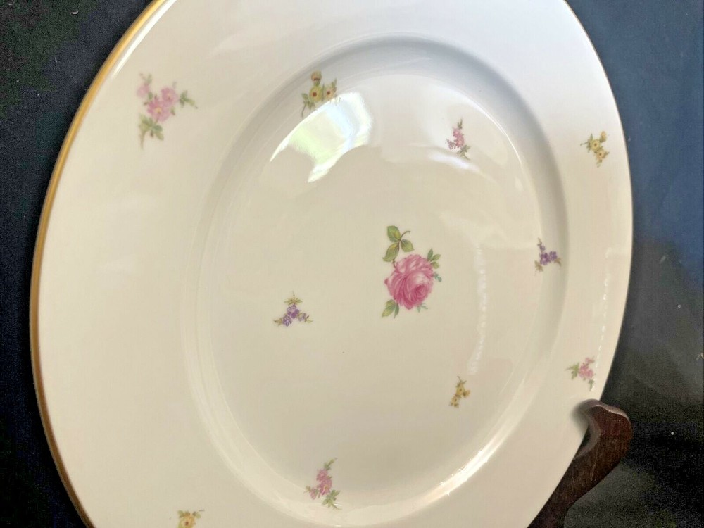 Rosenthal China Hillside Pattern 5-Piece Place Setting... Beautiful Floral...