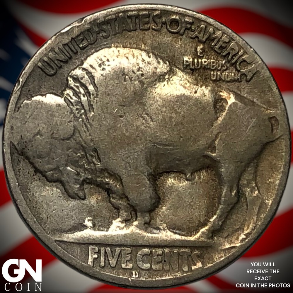 1919 D Buffalo Nickel X5809