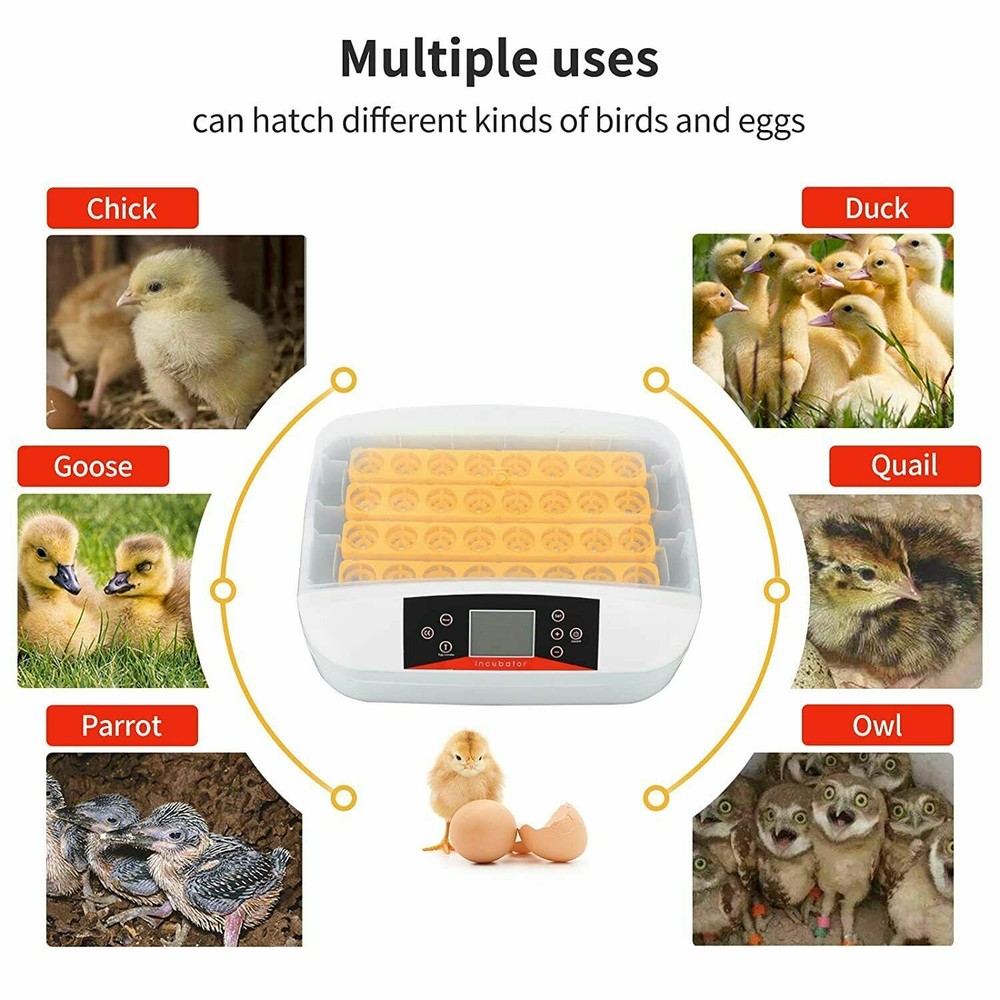 32 Egg Incubator Breeder Digital Egg Incubator Automatic Egg Turning Temperature