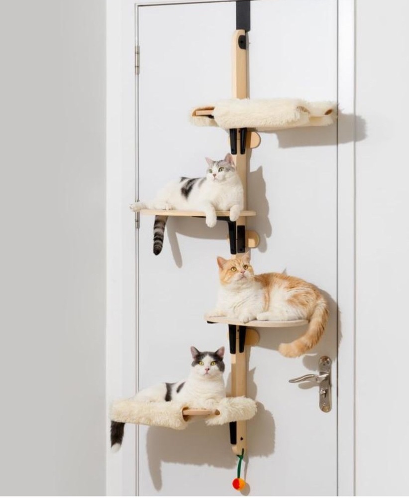 cat climbing tree for door