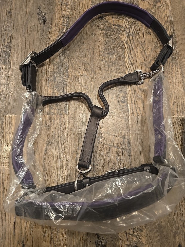 Leather Halter And Lead
