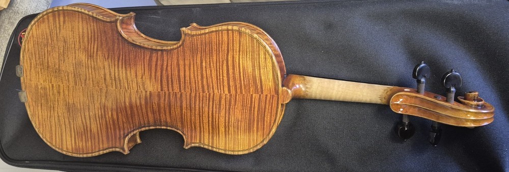 Ren Wei Shi Classique Violin 4/4 With Case And Bow