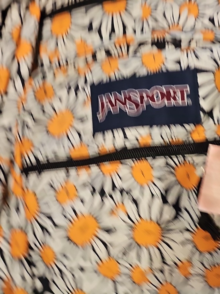 JanSport Cool Student Backpack DAISY DREAMSCAPE