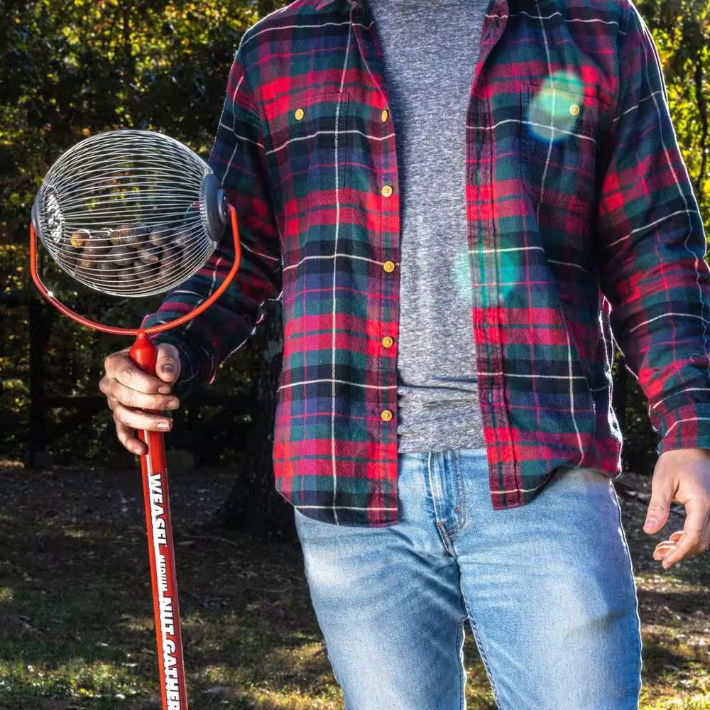 48 In. Weasel Medium Nut Gatherer with Smooth Rolling Cage