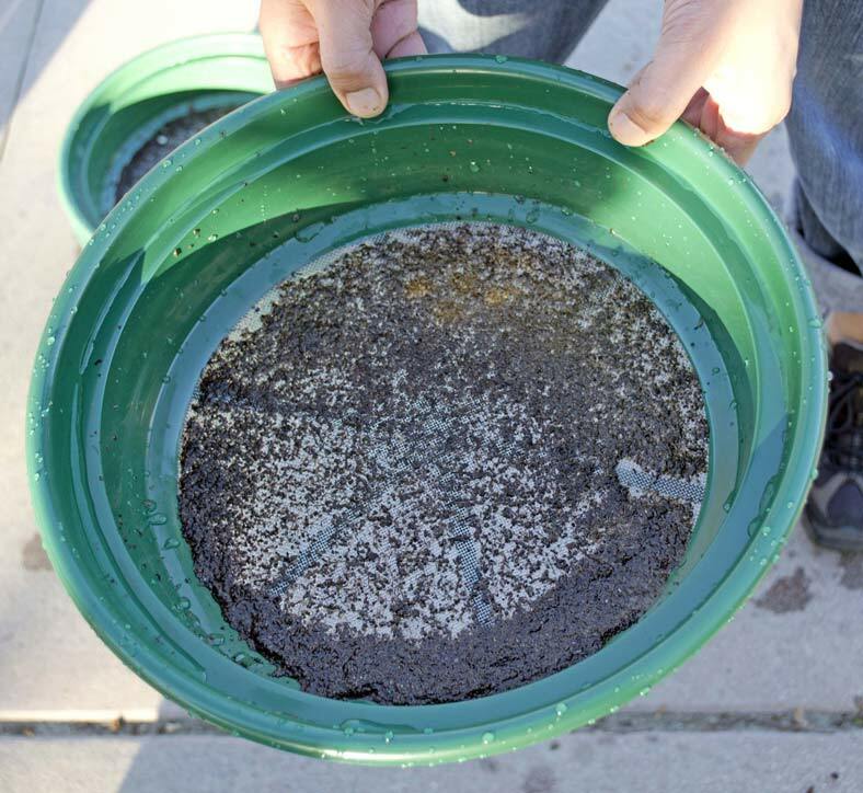CLASSIFIER SIFTING PAN | 1/20" | STAINLESS STEEL SCREEN EARTH SIFTER STACKABLE