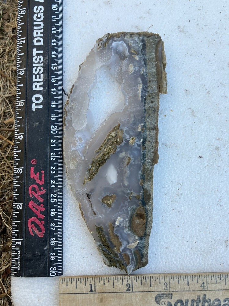 Agatized Limb Cast Slab (Indonesia)