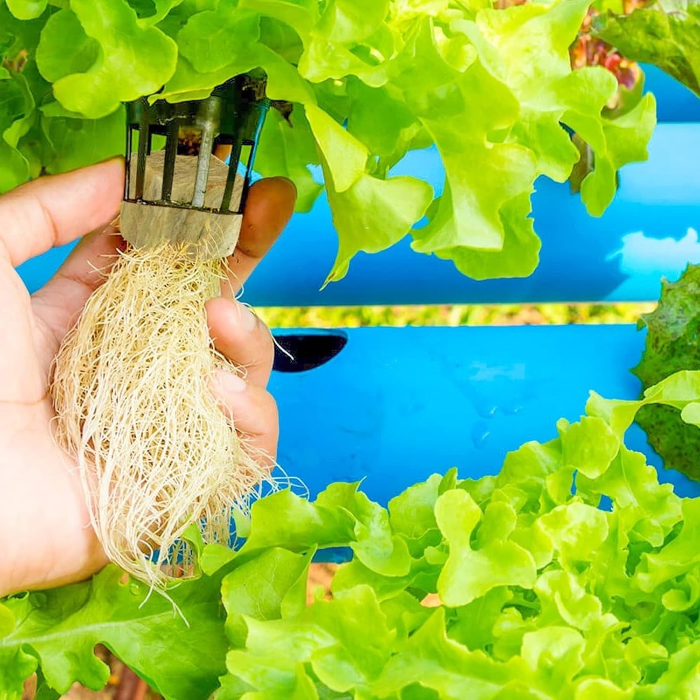 192 Plugs Rockwool Cubes Hydroponics Germination Seedlings