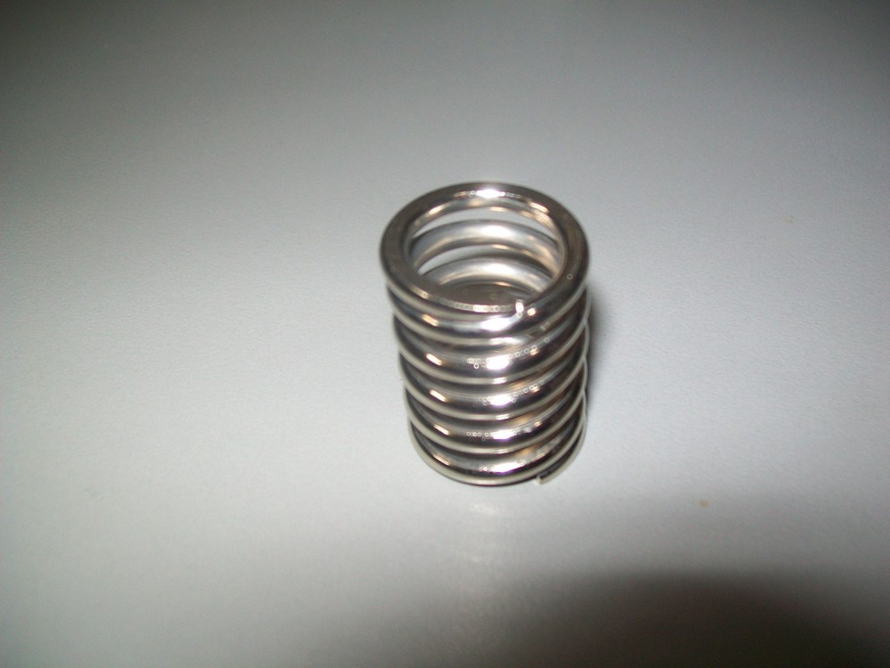 Genuine Bigsby 1" Tremolo Spring - Stainless
