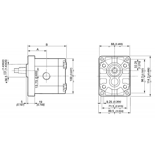 GEAR PUMP GROUP 2 2SPA4DEUR10G 4 CC REV