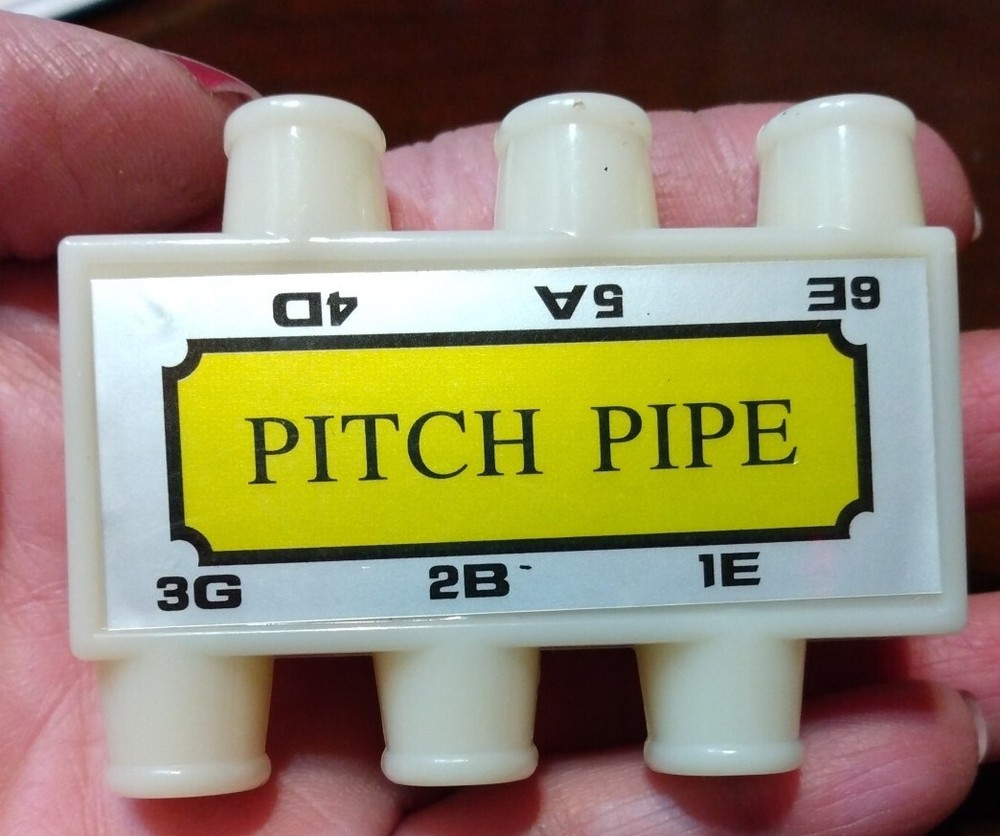 E B G D A E 6 Tones Guitar String Tuning Plastic, Pre-owned Never Used