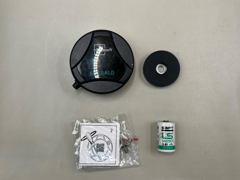 Dickson Emerald PT100 ENR.EMD.P006 Bluetooth Temperature Data Logger