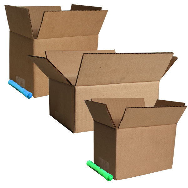 1 Bedroom Moving Kit