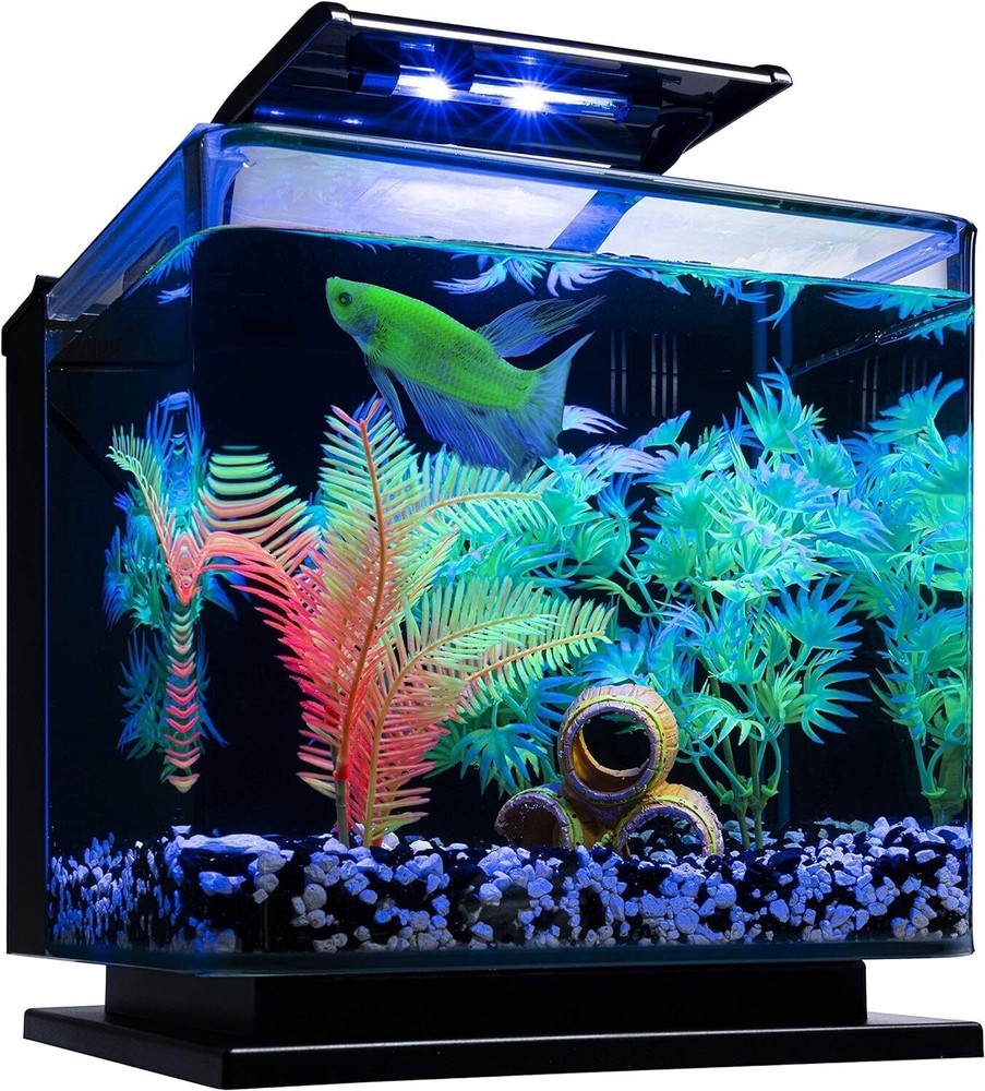 3 Gallons Betta Shadowbox Aquarium Kit w/ LED Lighting System Tabletop Display