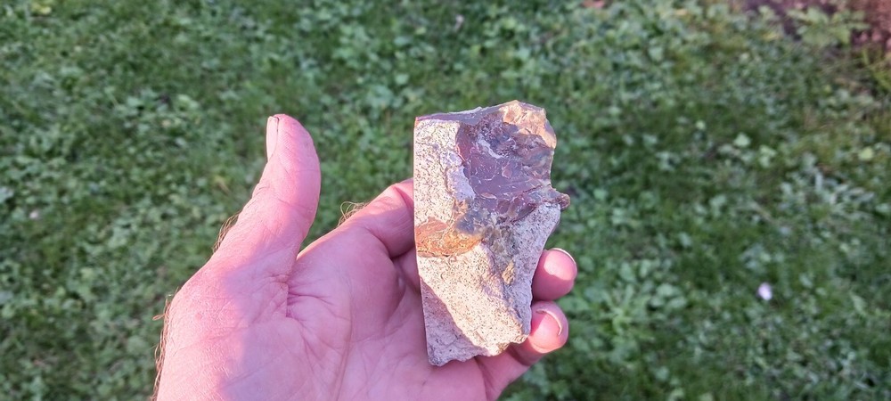 CARRASITE Jasper Polished Specimen