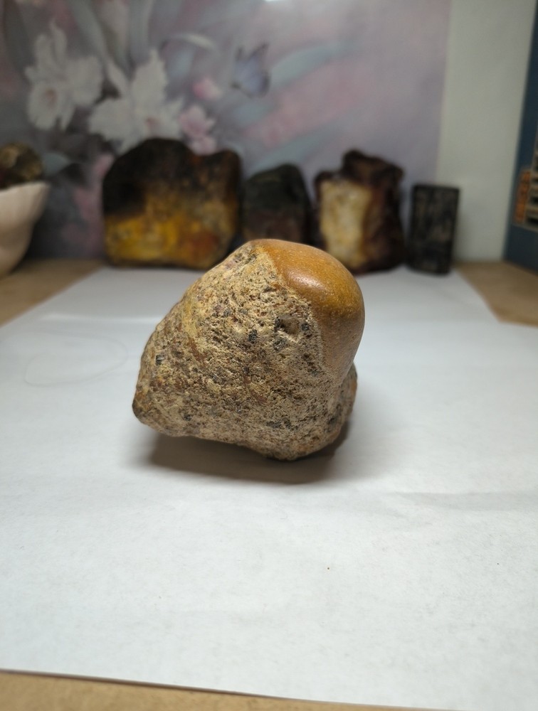 Egg Fossil possibly??? makes an interesting display piece