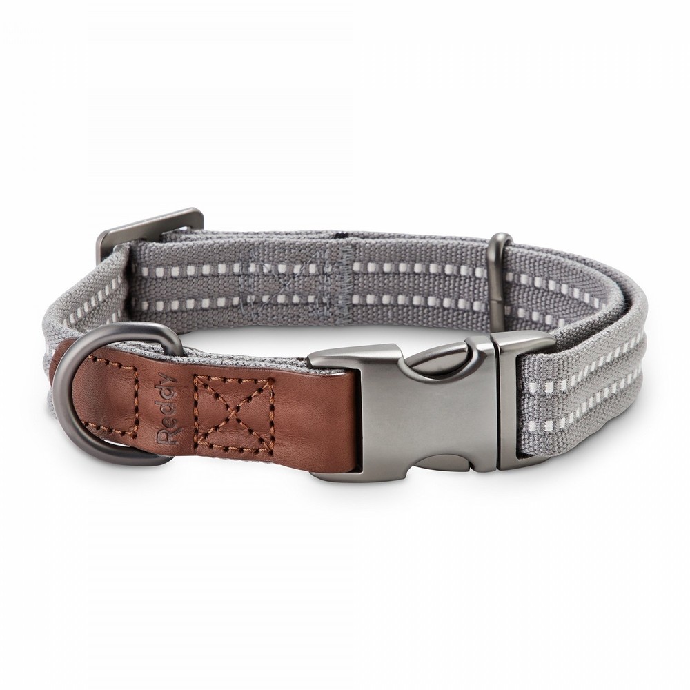 Reddy Grey Webbed Dog Collar, Medium, Gray