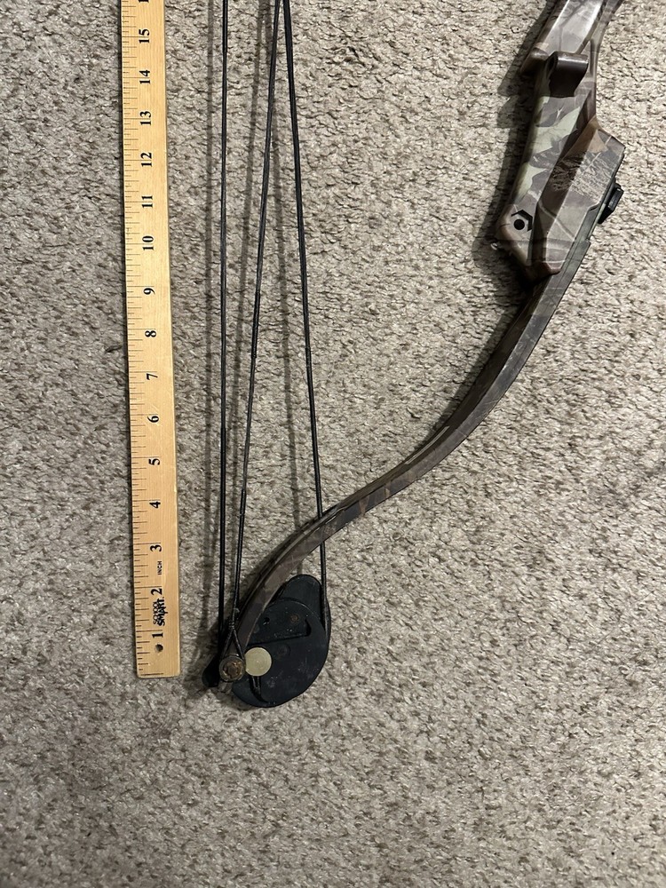 Bear Archery Warrior 2 Youth 34” Black Compound Bow