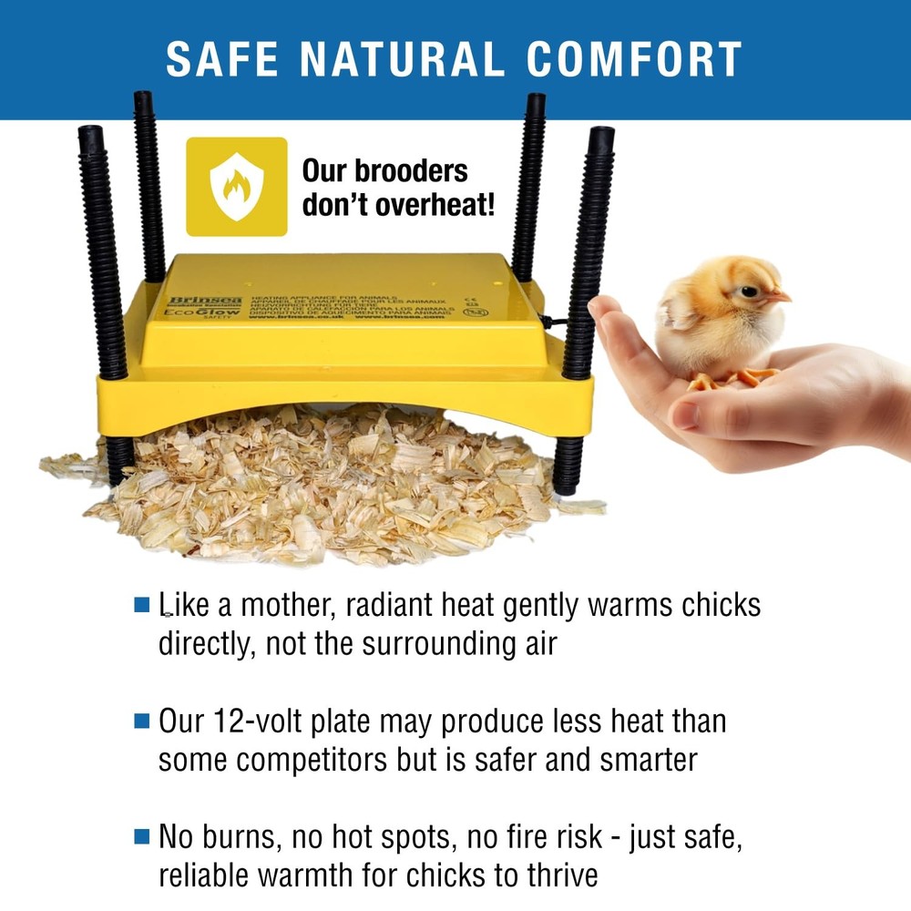 Ecoglow Safety 600 Chick or Duckling Brooder, Adjustable Height & Angle Brood...