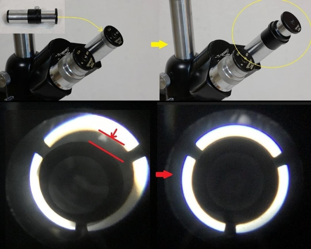 Carl Reichert's phase contrast microscope (BIOZET)