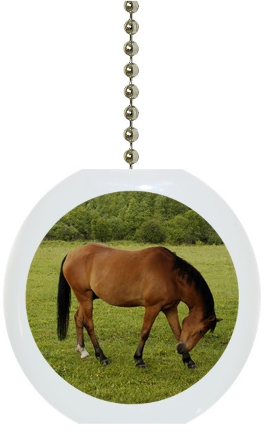 Horse in Pasture Solid CERAMIC Ceiling Fan Light Lamp Pull