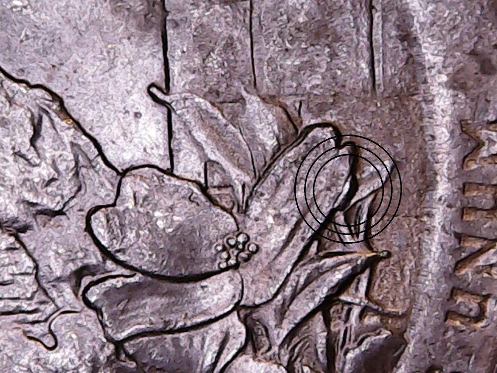 2015 P Blue Ridge Parkway ATB Quarter Die Chip Error.