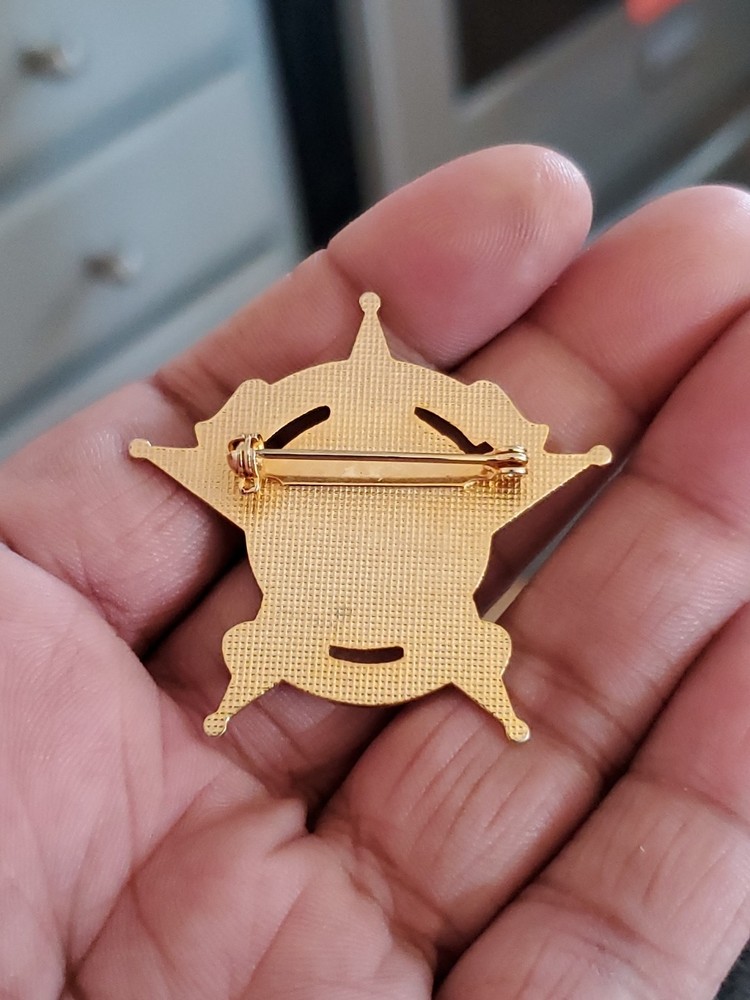 Texas Sheriff Pin