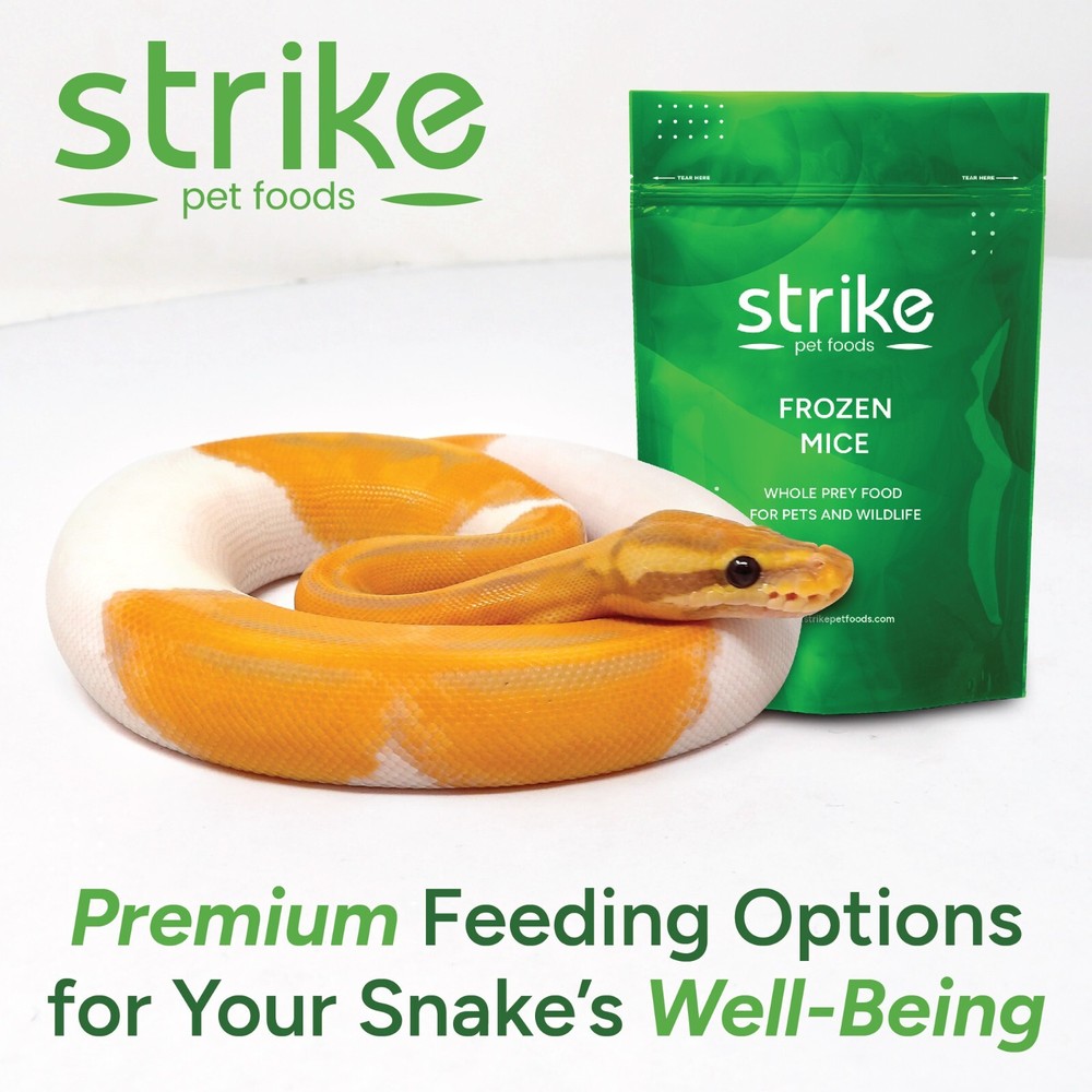 Strike Frozen Mice All Sizes and Quantities- Free S&H! Bundle to Save!