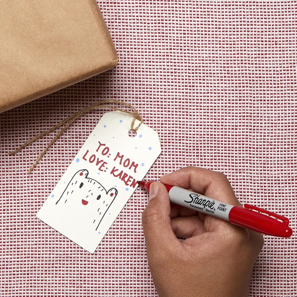 Permanent Markers, Fine Point, Assorted Colors, 5 Count