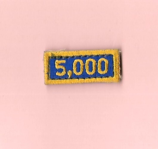 Patch Small 5,000 Military Flight Hours W/ Hook