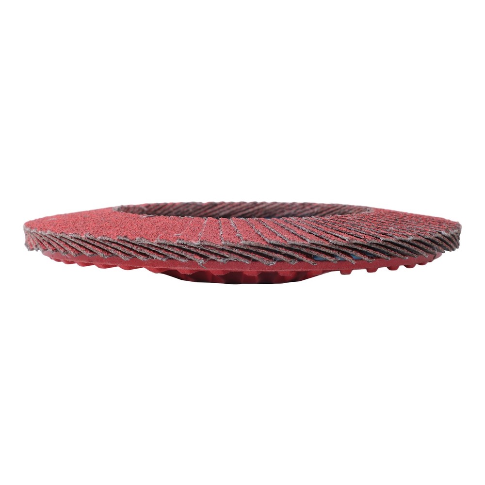 Type 29 Ceramic Grain Flap Sanding Discs 10 PCS 4-1/2" x 7/8" 80 Grits