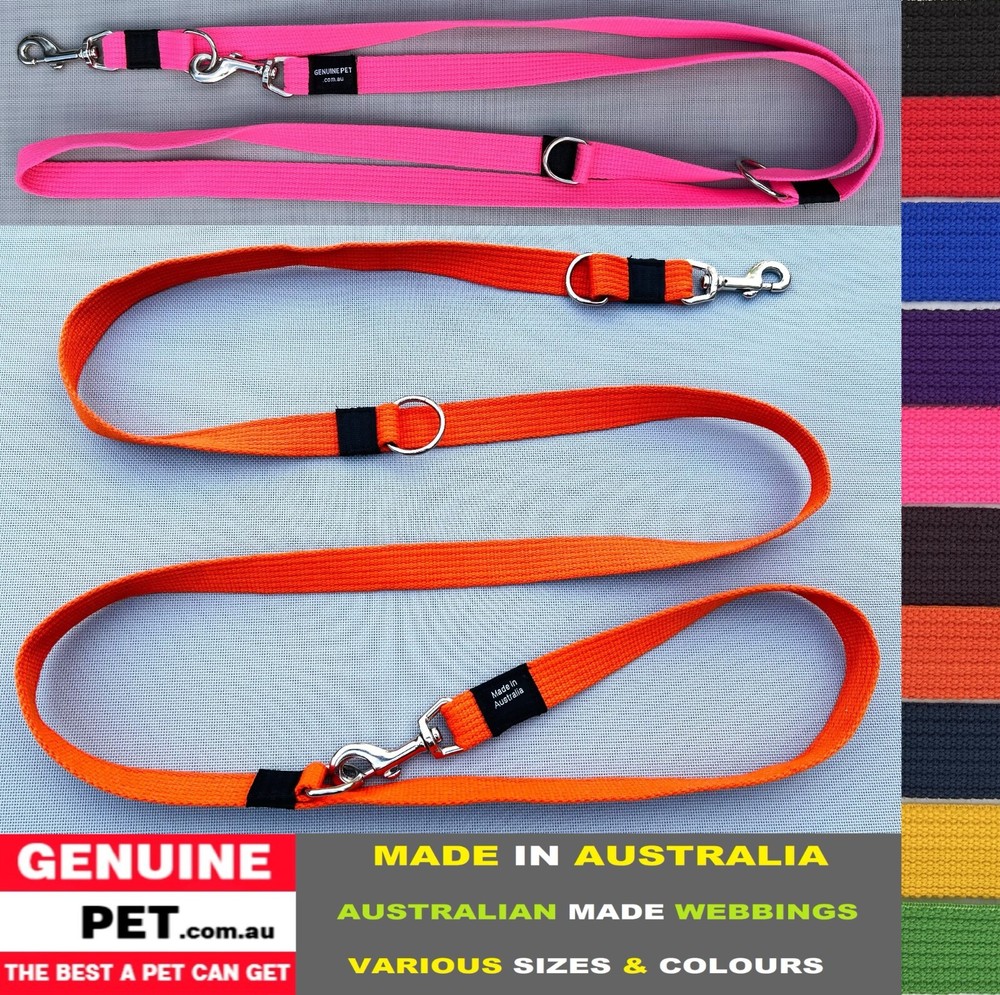 Multi-Function Dog Lead Training Leash Collar Webbing