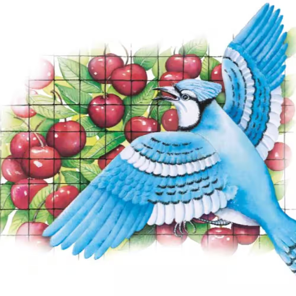 14 Ft. X 45 Ft. Netting and 5/8 In. Polypropylene Mesh