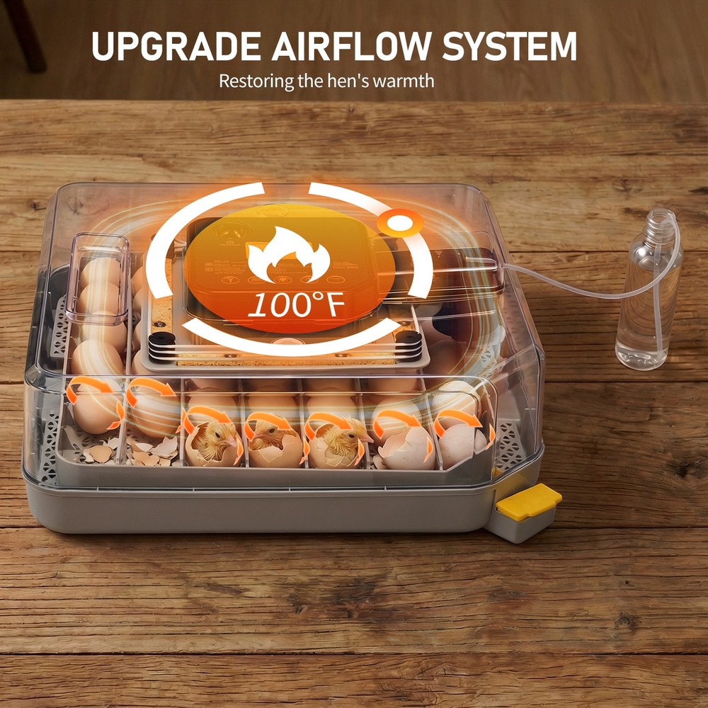 Digital Incubator for Hatching 48 Eggs, Egg Incubator with Automatic Egg Turning