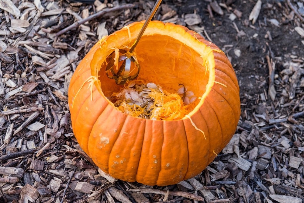 The Pumpkin Gutter - The Original Halloween Carving Tool Using a Drill