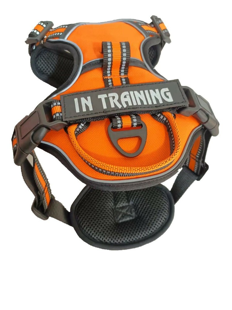 No-Pull Dog Pet Harness + Leash Reflective Control Adjustable Collar Handle