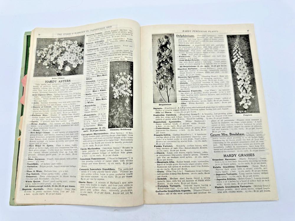 The Storrs Harrison Seed Catalog 1919