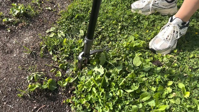 Stand Up Weed Puller Tool - 46" Adjustable Steel Handle & 4-Claw Head, Easy Weed
