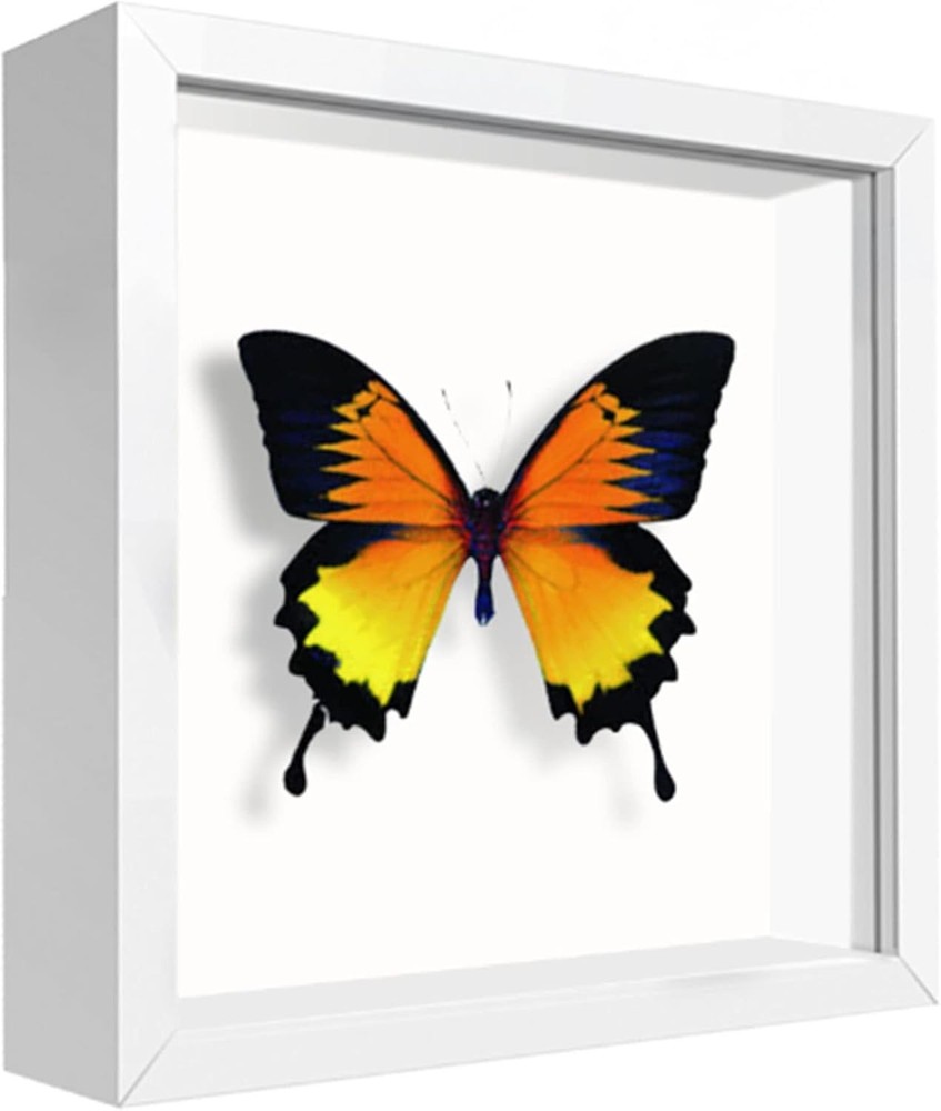 Versatile 5x5 Square Shadow Box Frame for Home or Office