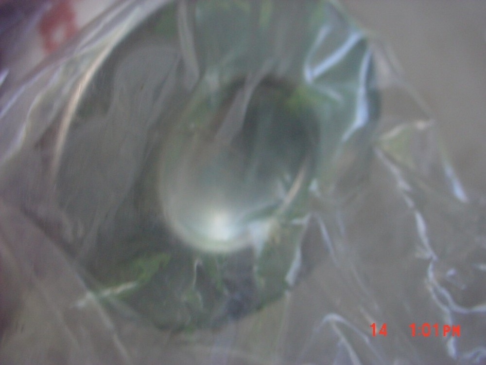 HYDAC Pressure Filter Element 1253012