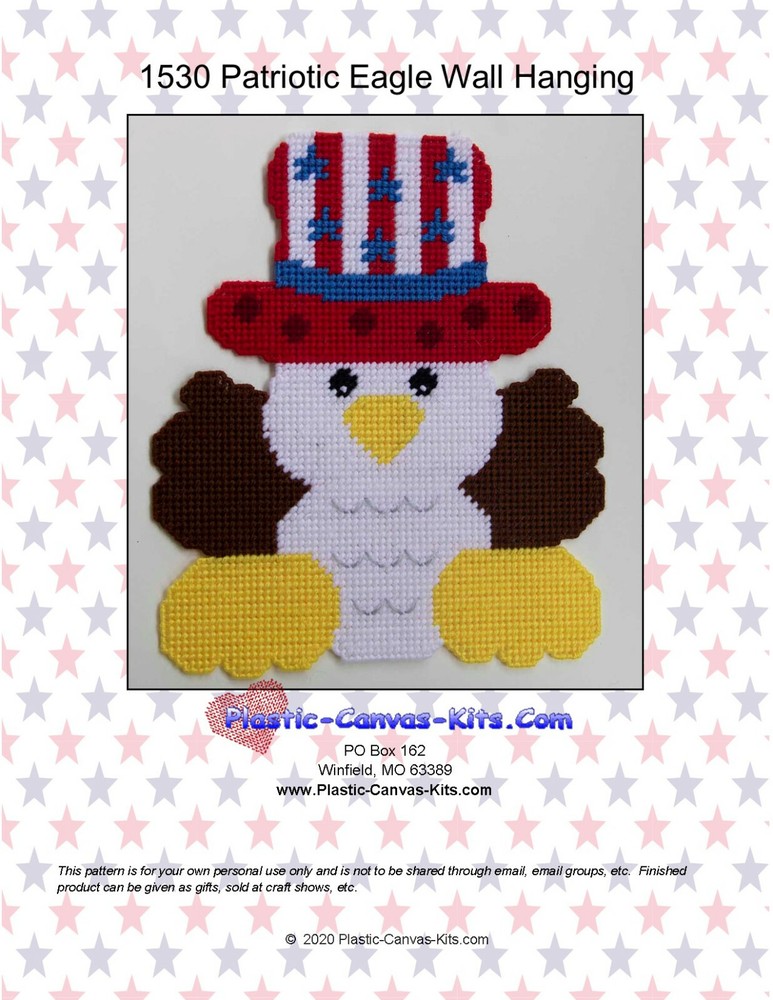 Patriotic Eagle Wall Hanging-Plastic Canvas Pattern or Kit