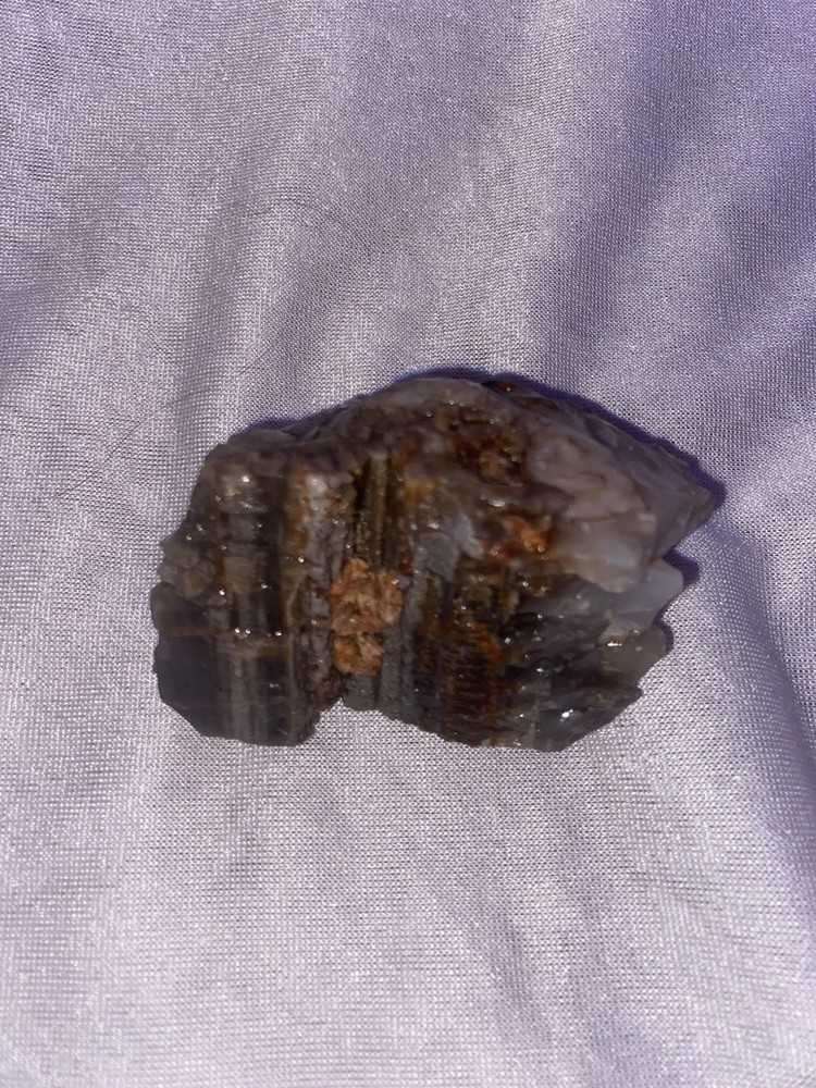 Petrified Wood