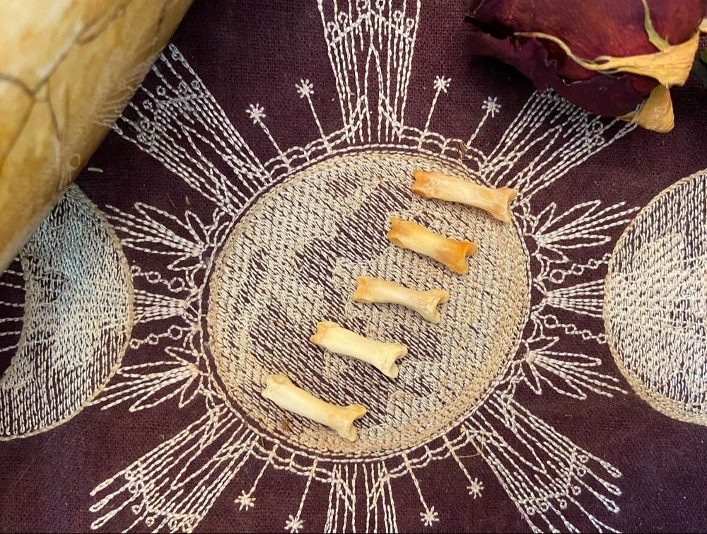 Bobcat Knuckle Bones, Osteomancy, Divination, Bone Throwing