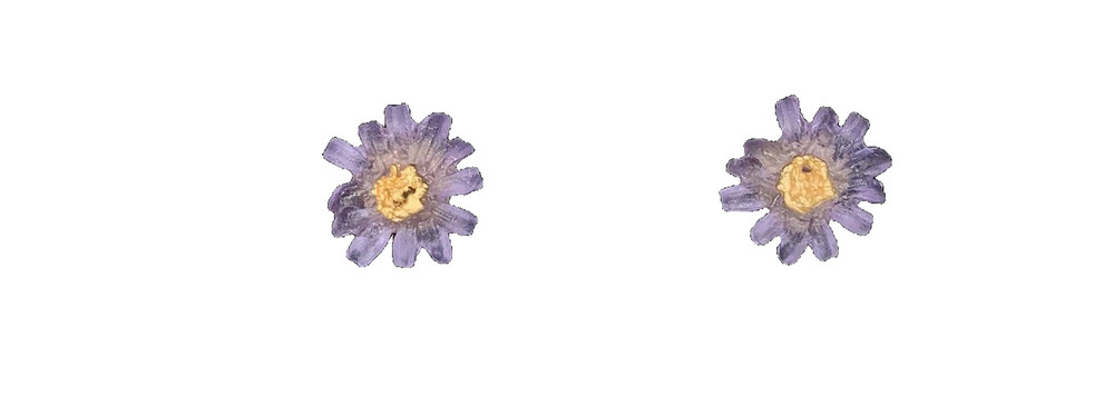 MICHAEL MICHAUD ASTER STUD EARRINGS #3628BZ