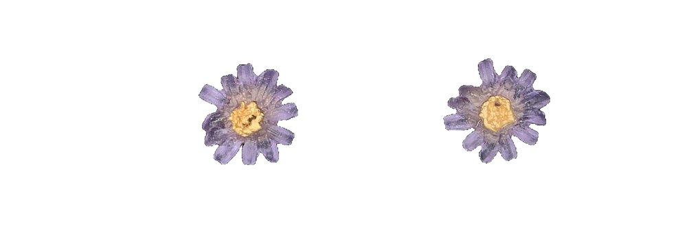 MICHAEL MICHAUD ASTER STUD EARRINGS #3628BZ